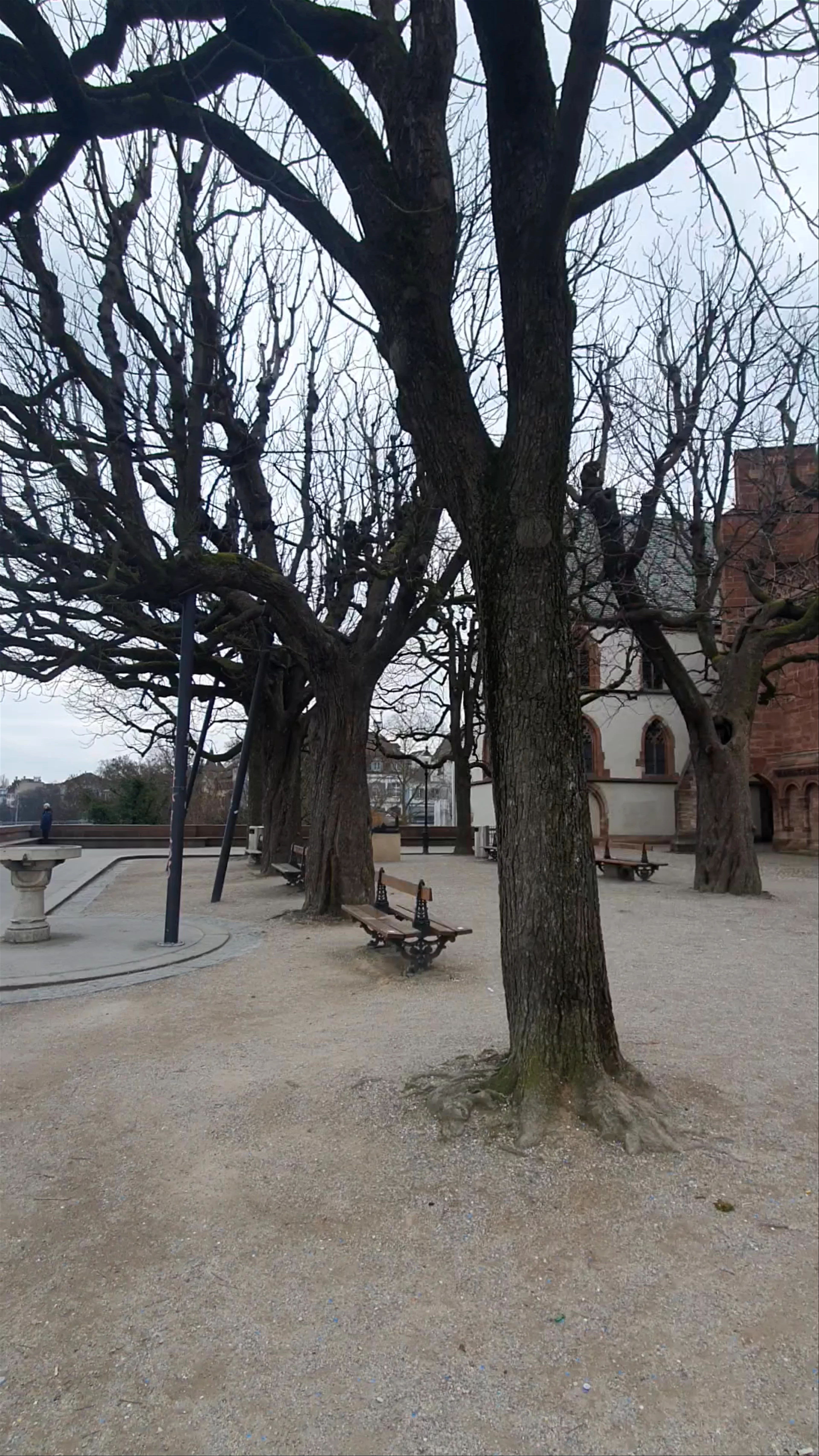 Basler Pfalz