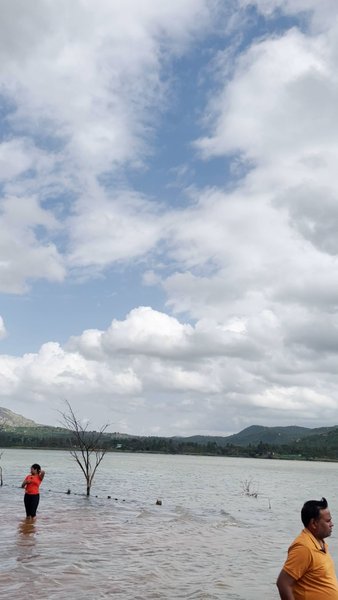 Photo of Looking for a perfec