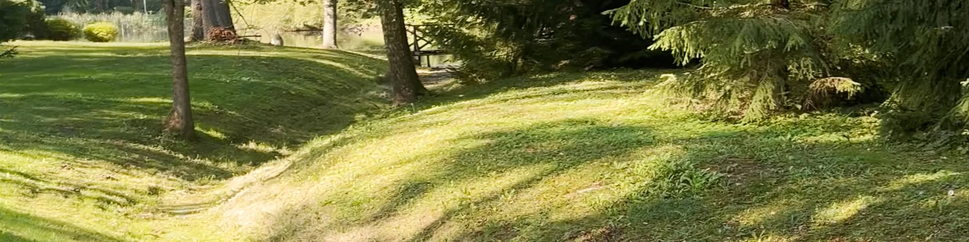 Likėnų parkas