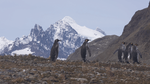 Untitled Work animated gif