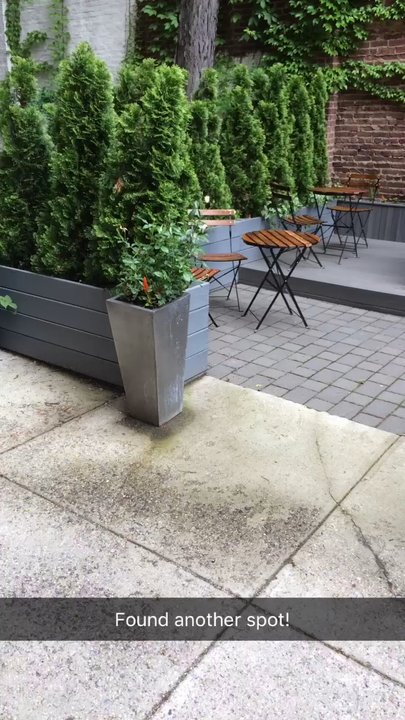 Le Paris Dakar 2 - Beutiful back garden - Creperies Near Me - Brooklyn, New York