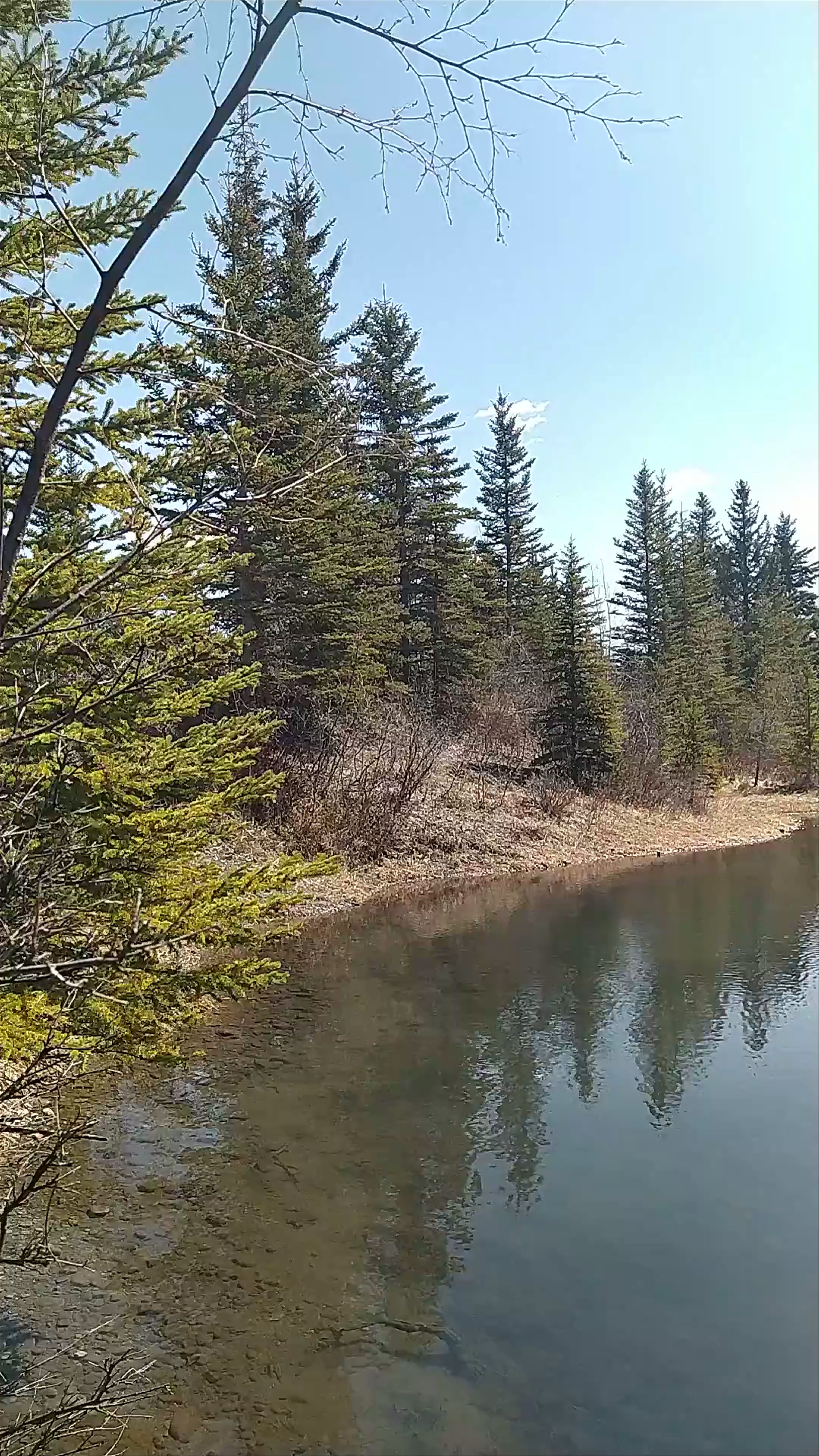 Bow River Pathway: Serene Nature Escape in Calgary, Alberta