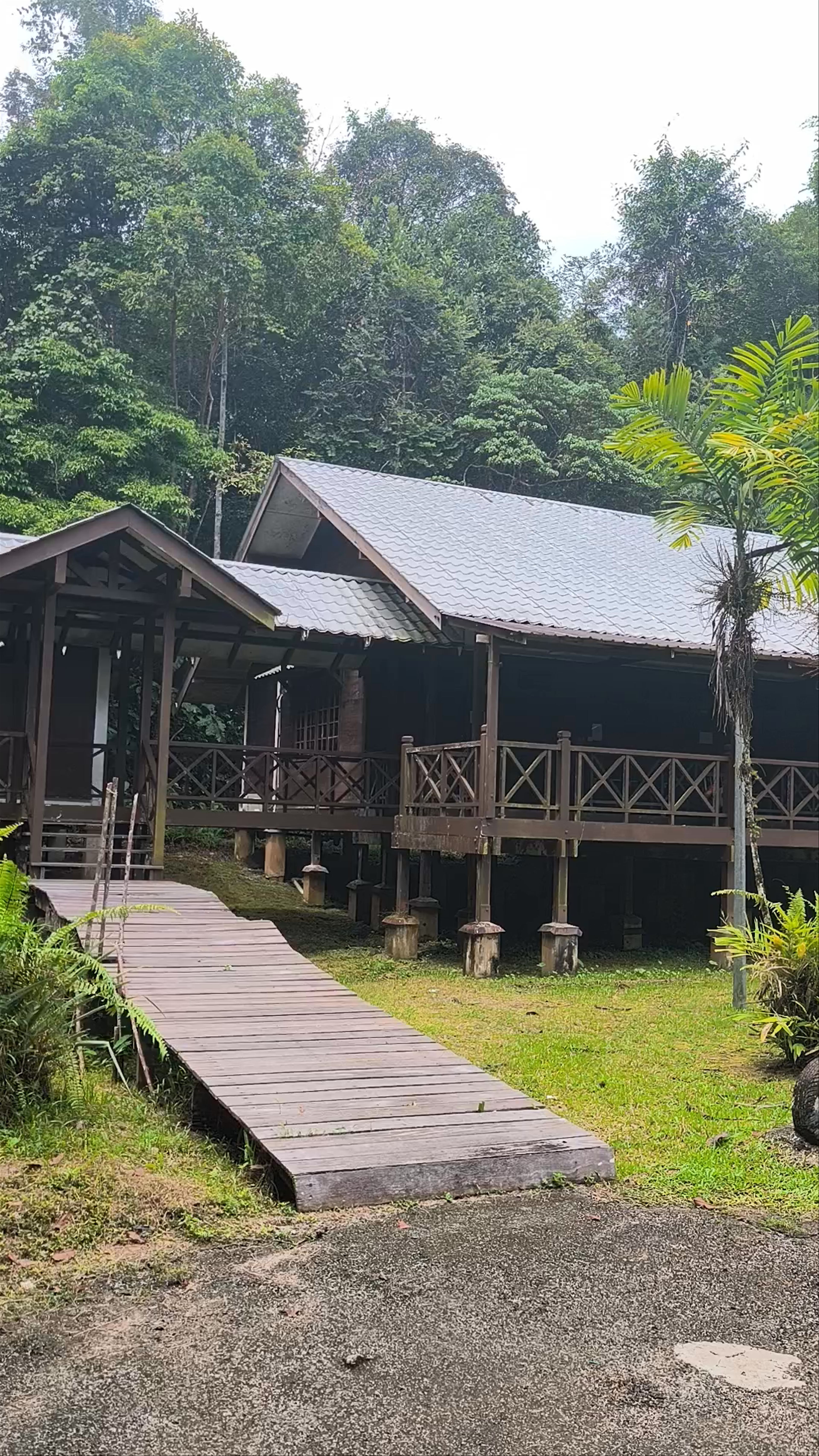 Matang Wildlife Homestay