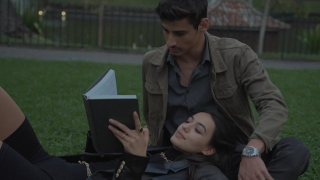 A couple reading a book in a park