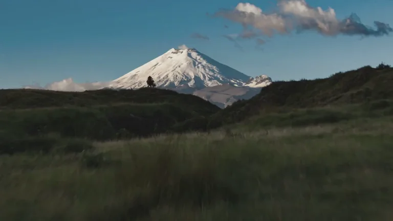 Ecuador y Galápagos 360°: Andes, Amazonas e islas encantadas