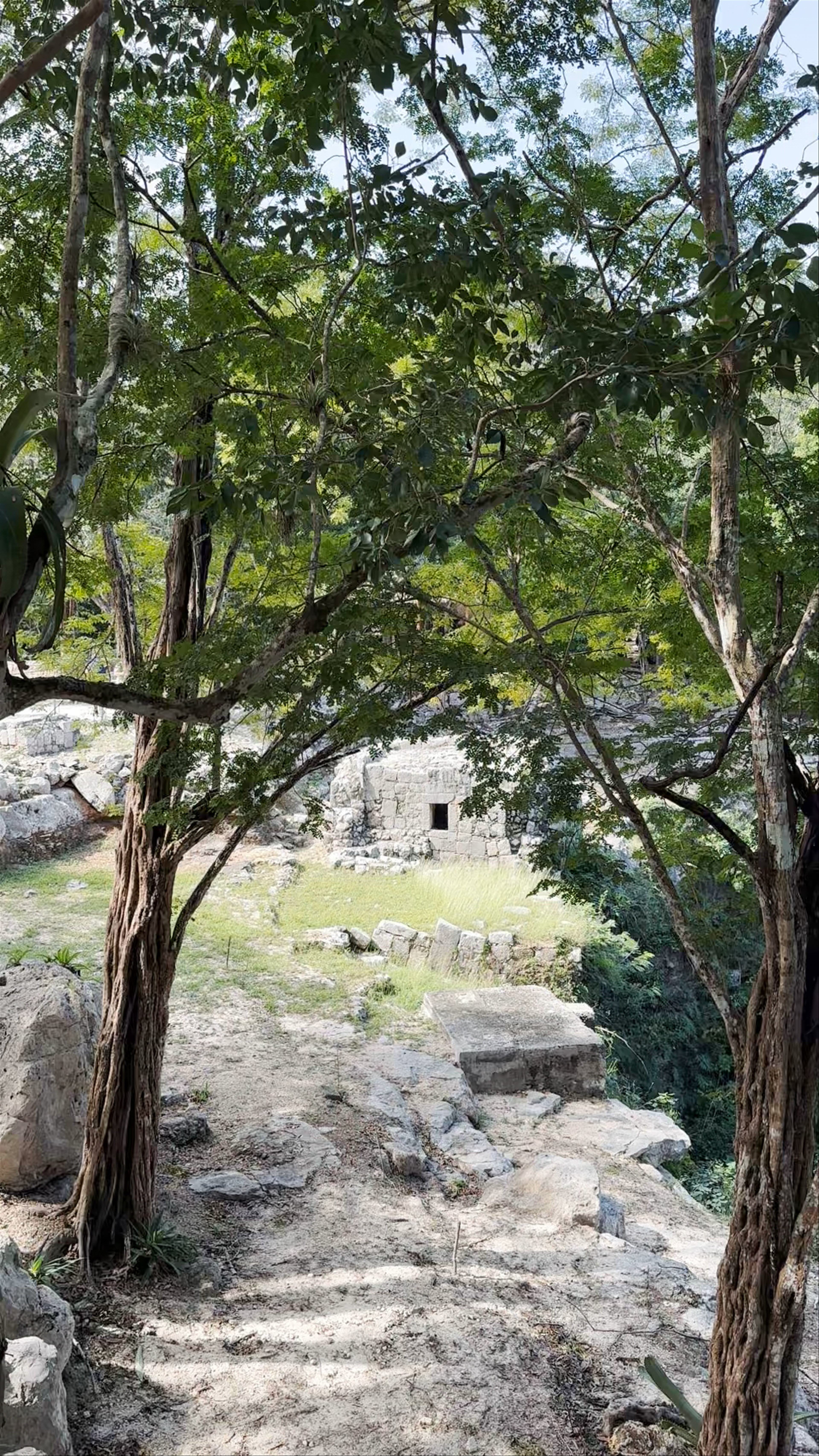 El Cenote Sagrado