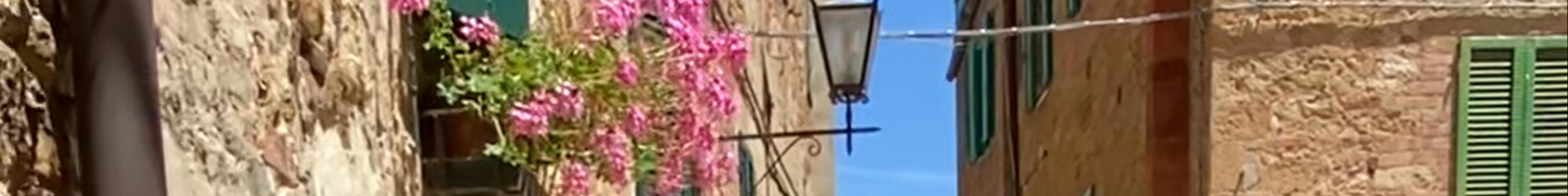 Tours & experiences in Pienza
