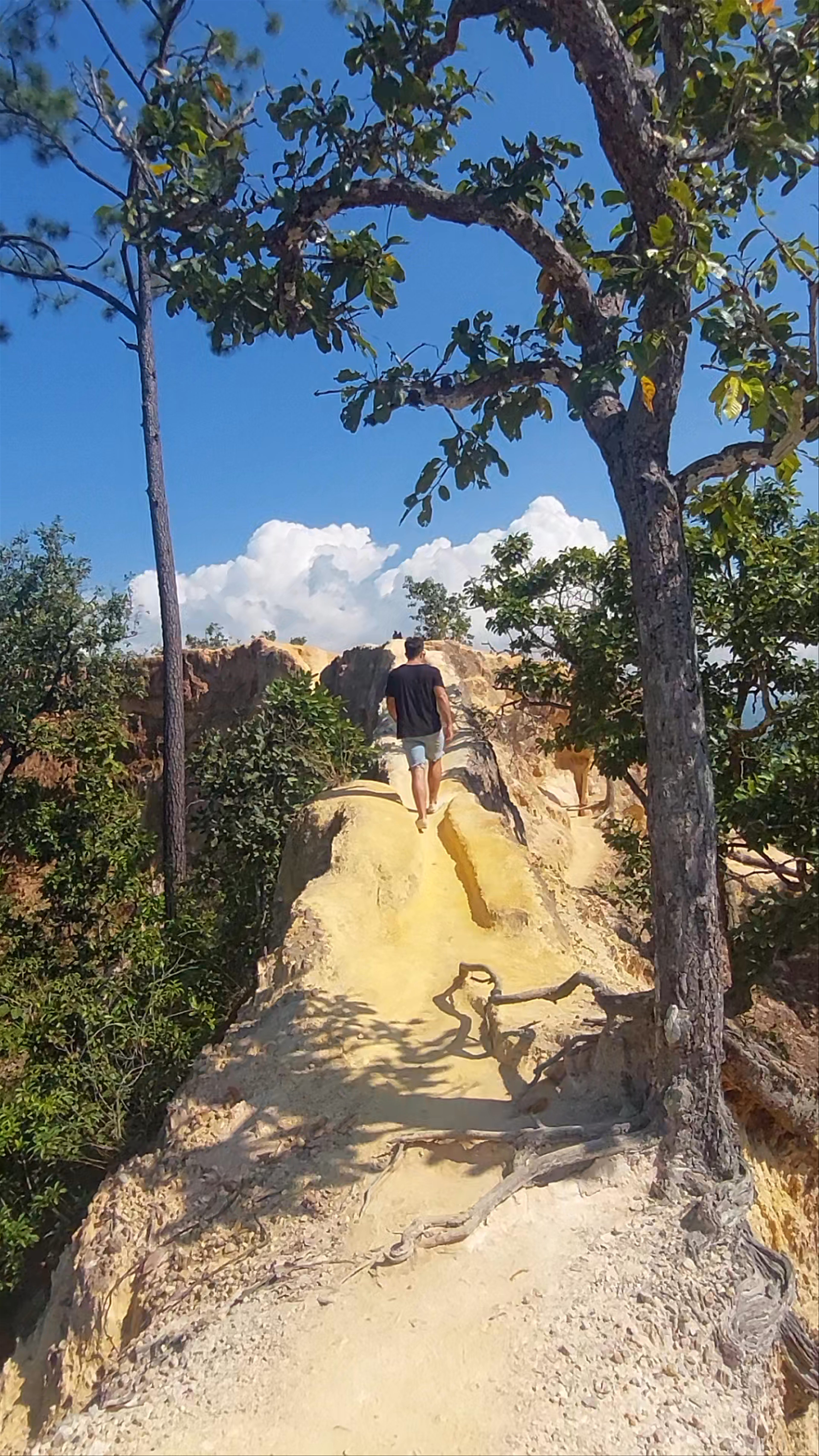 Pai Canyon: A Scenic Adventure Walk in Mae Hong Son, Thailand