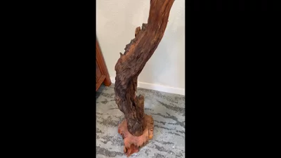 Preview image for video