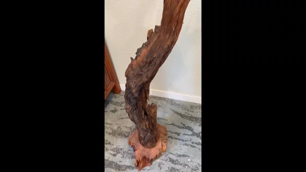 Preview image for video