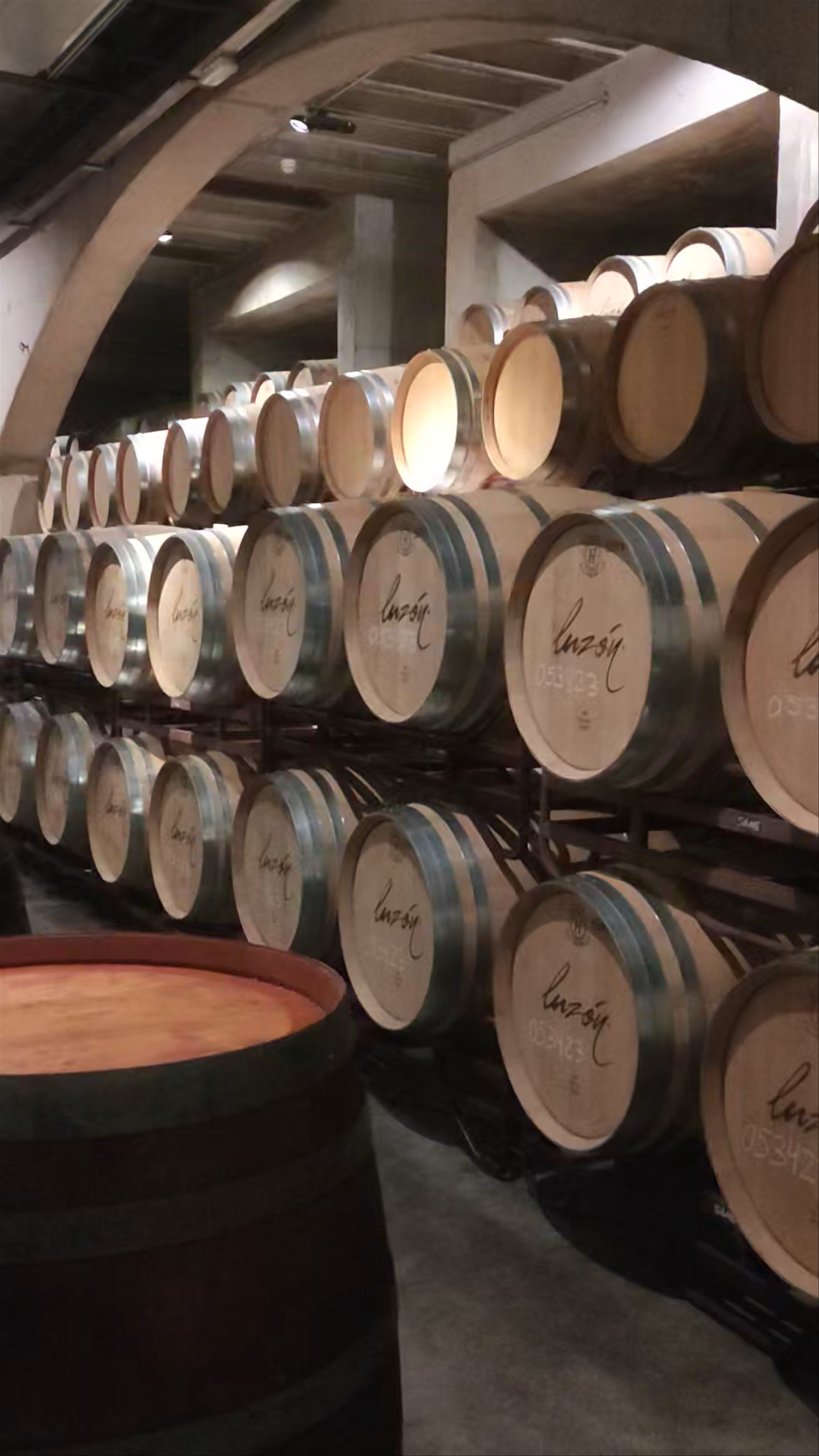 Bodegas Luzón: Immersive Wine Barrel Cellar Tour in Jumilla, Spain