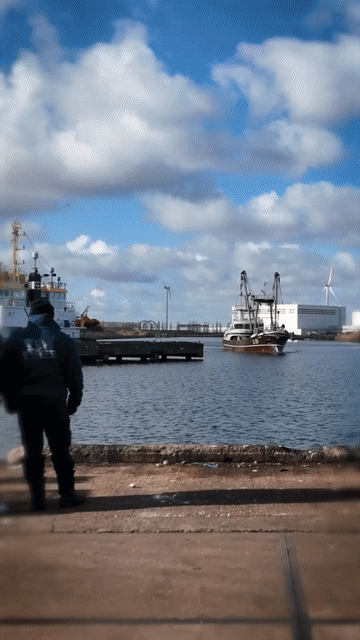 Preview for Belgische vissers verdienen plots aan octopus