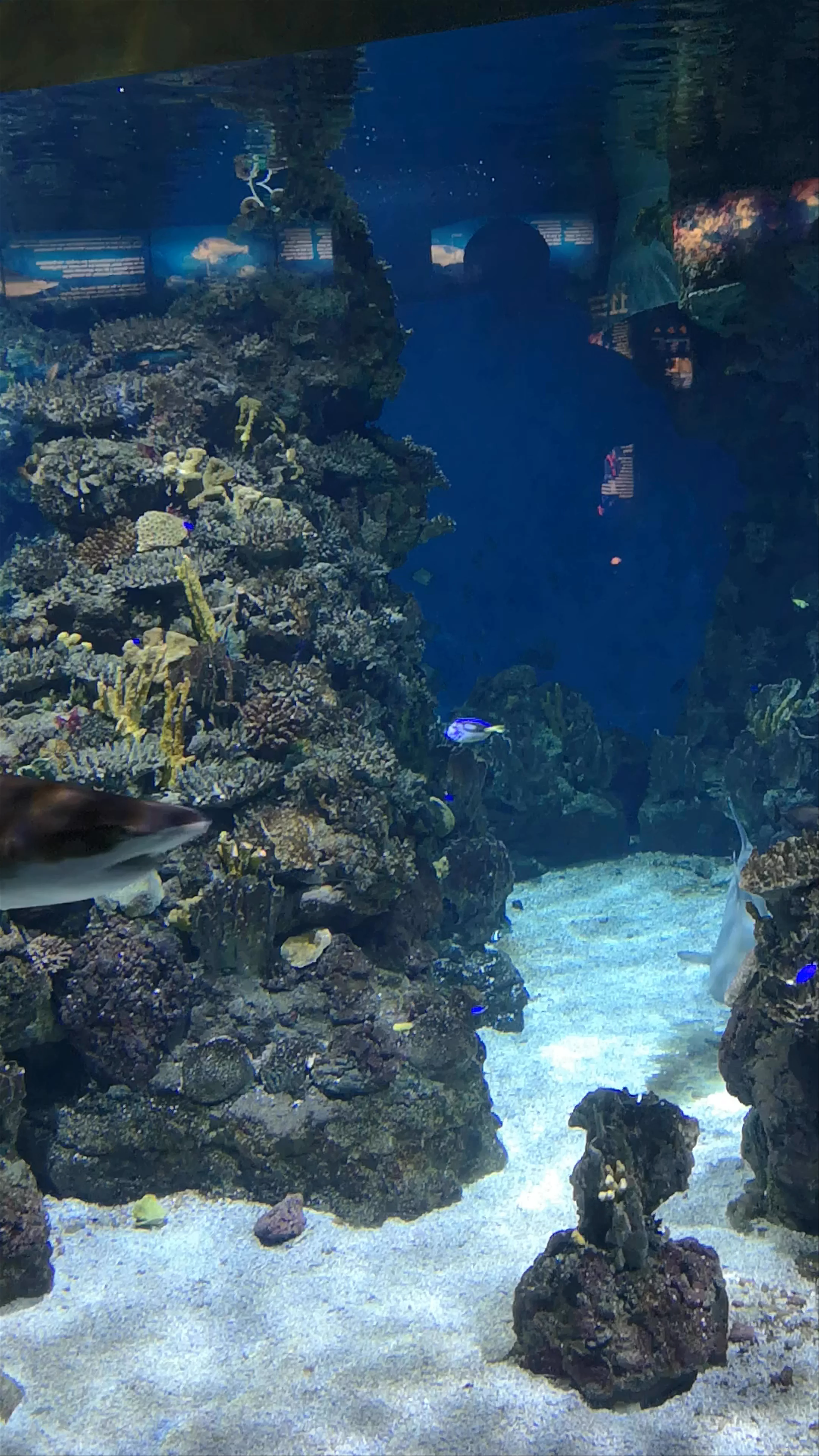 Aquarium Meridiana