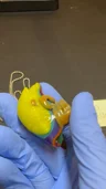 Small image 3