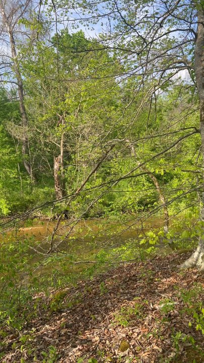 Natchez Trace Stables - Horseback Riding Near Me - Primm Springs, Tennessee