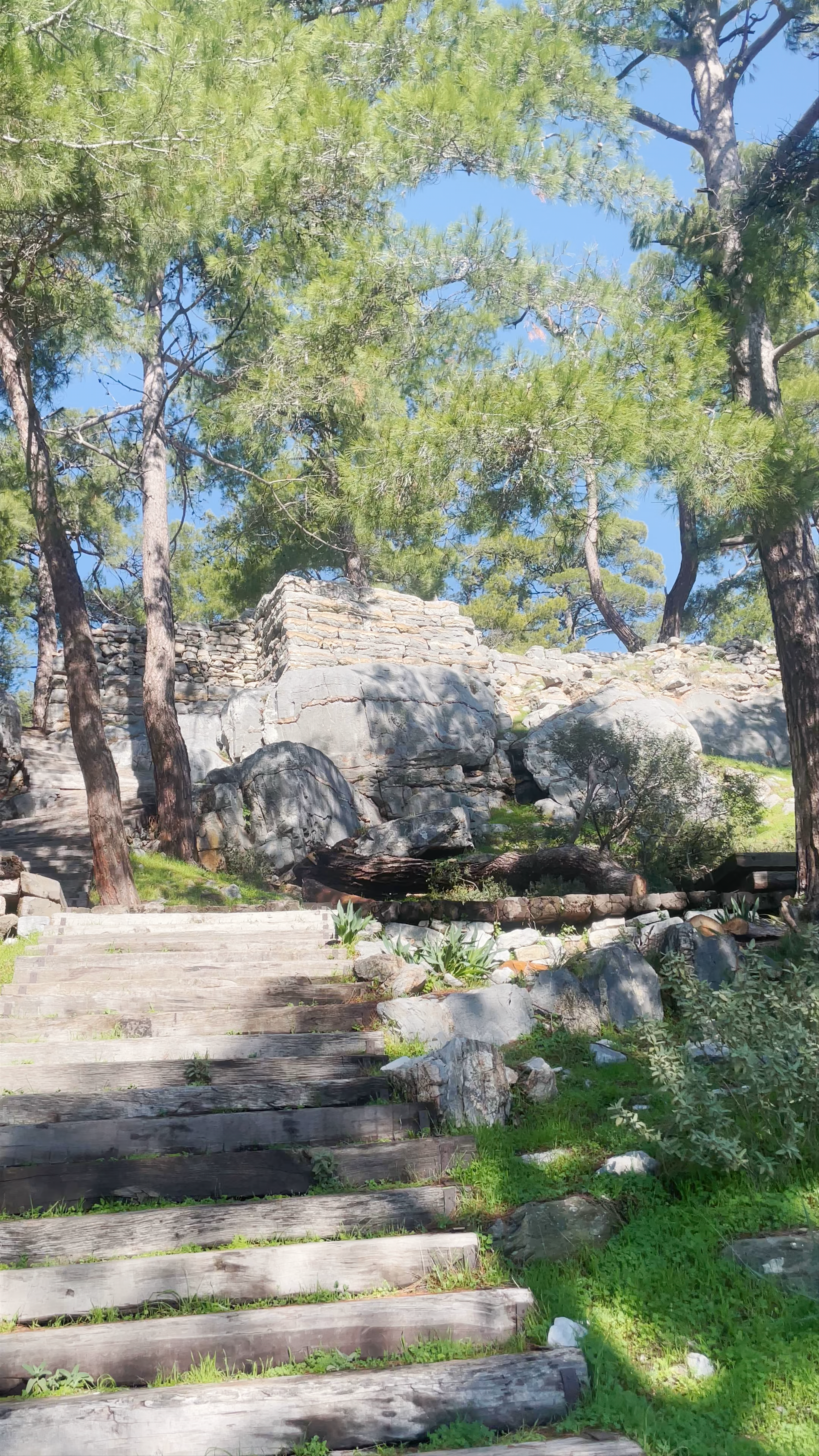 Torba