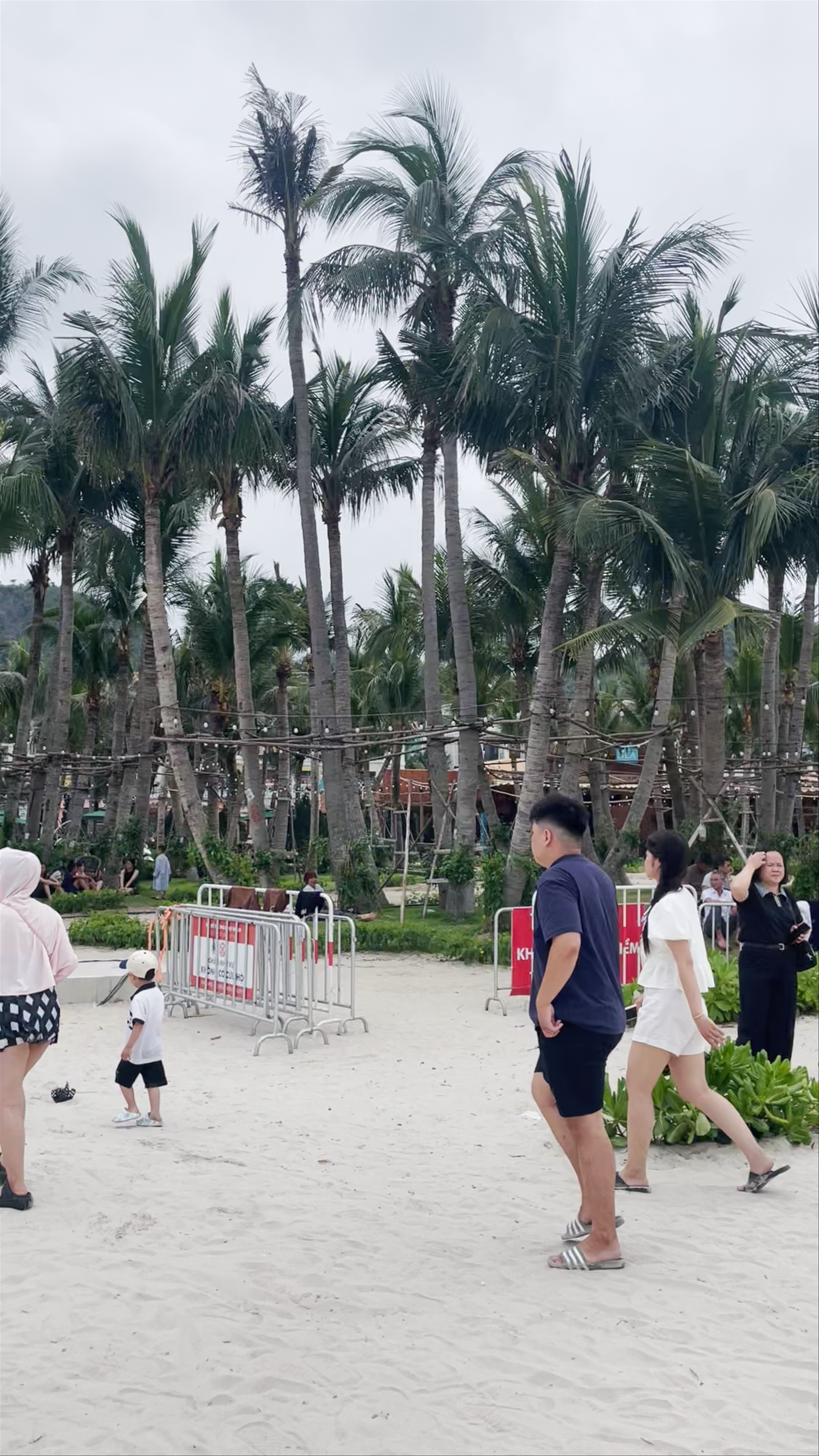 Cat Ba Sea Garden