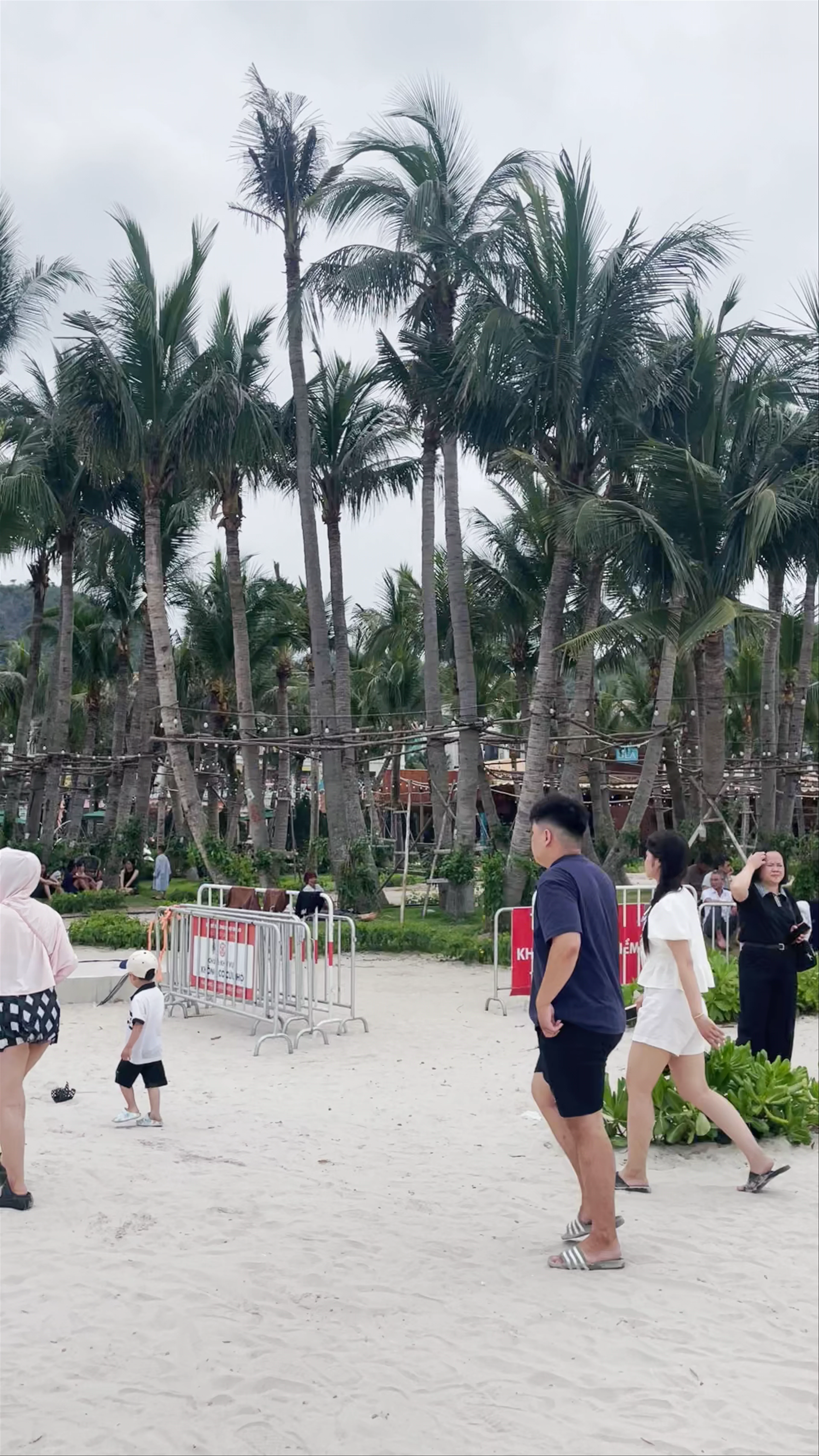 Thuyền Buồm Cát Bà