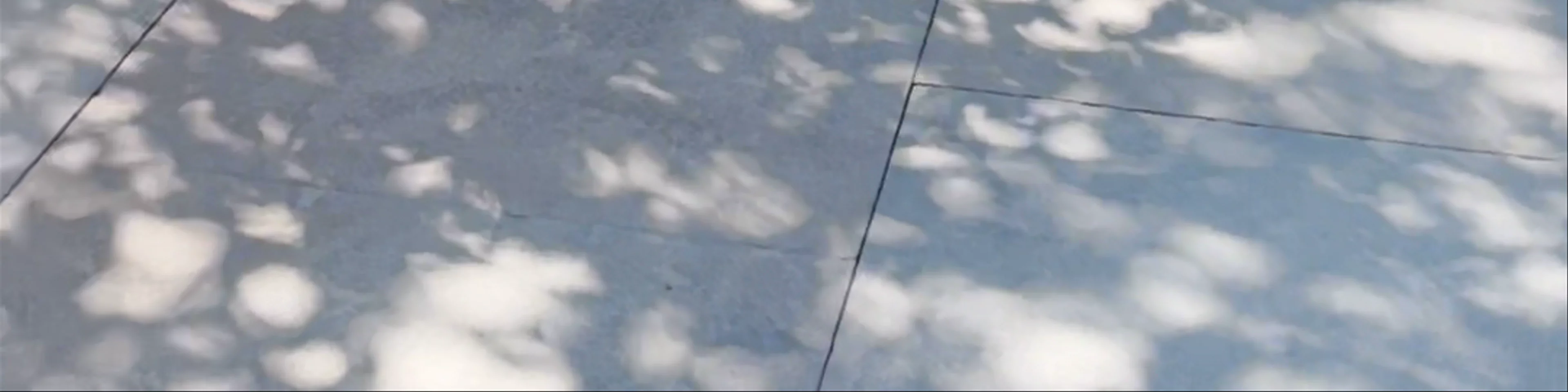 Serra Sculpture Park