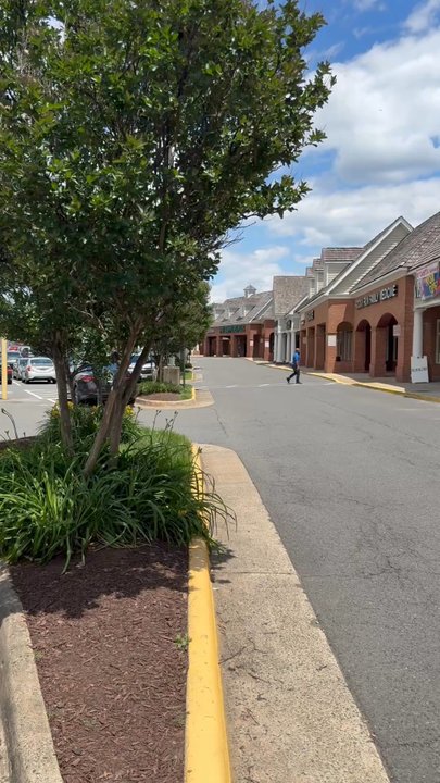 Thai Kitchen - Thai Near Me - Centreville, Virginia