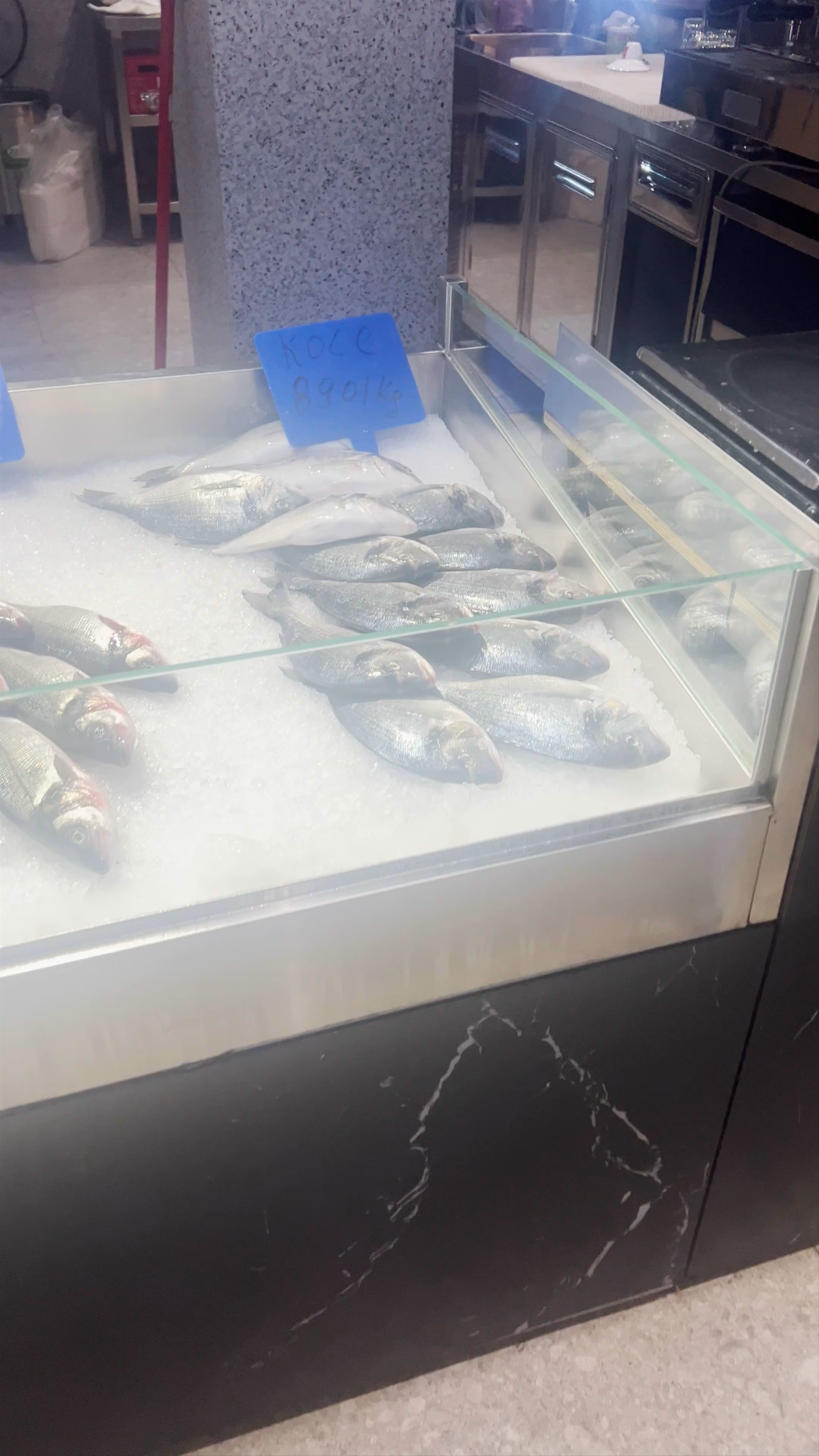 Fish Art Market Experience in Shkodër, Albania