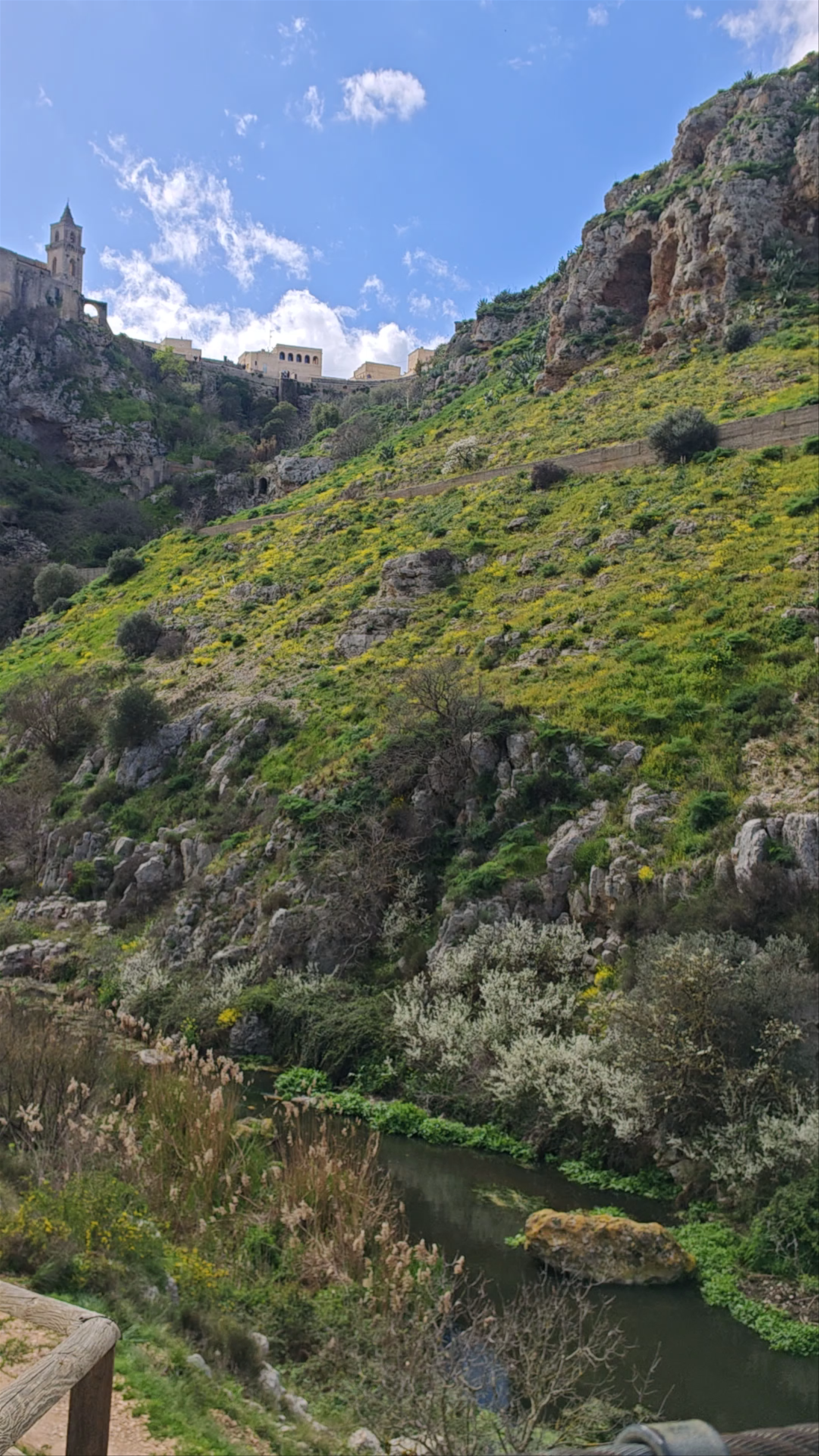 Ponte Tibetano della Gravina