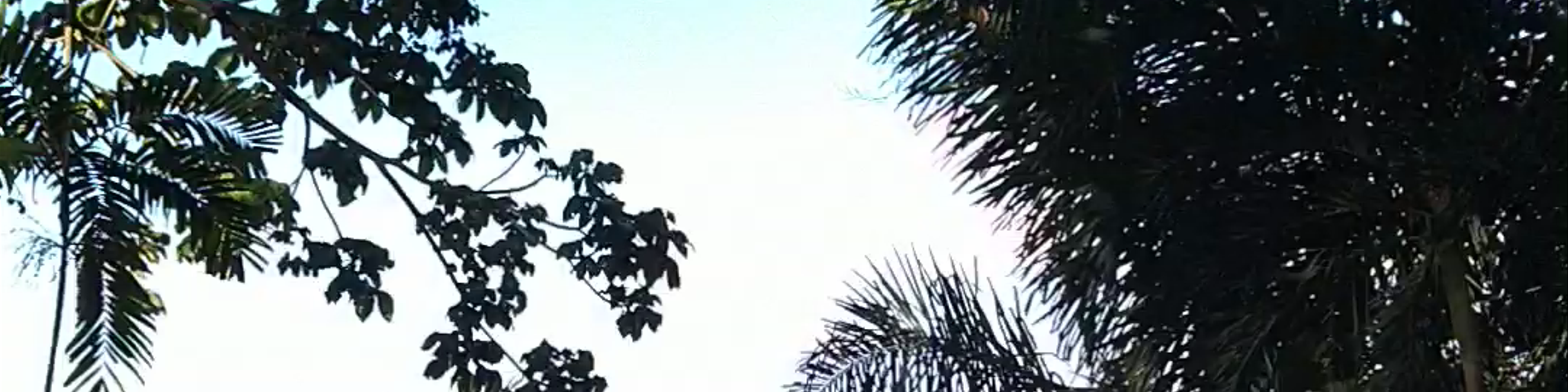 Panamá