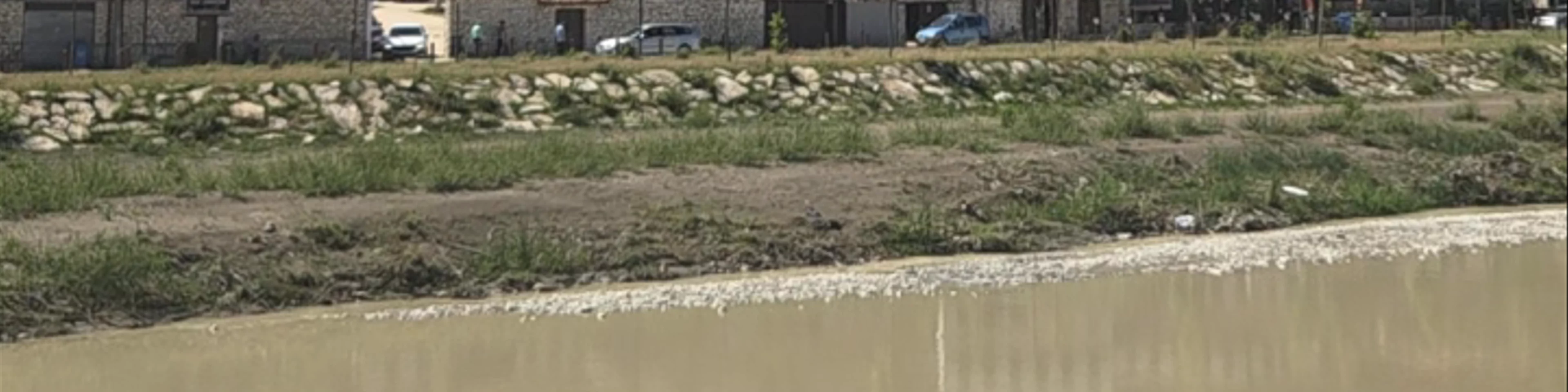 Gorica Bridge