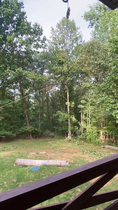 Nicholson Professional Arborists - Tree Services Near Me - Cockeysville, Maryland