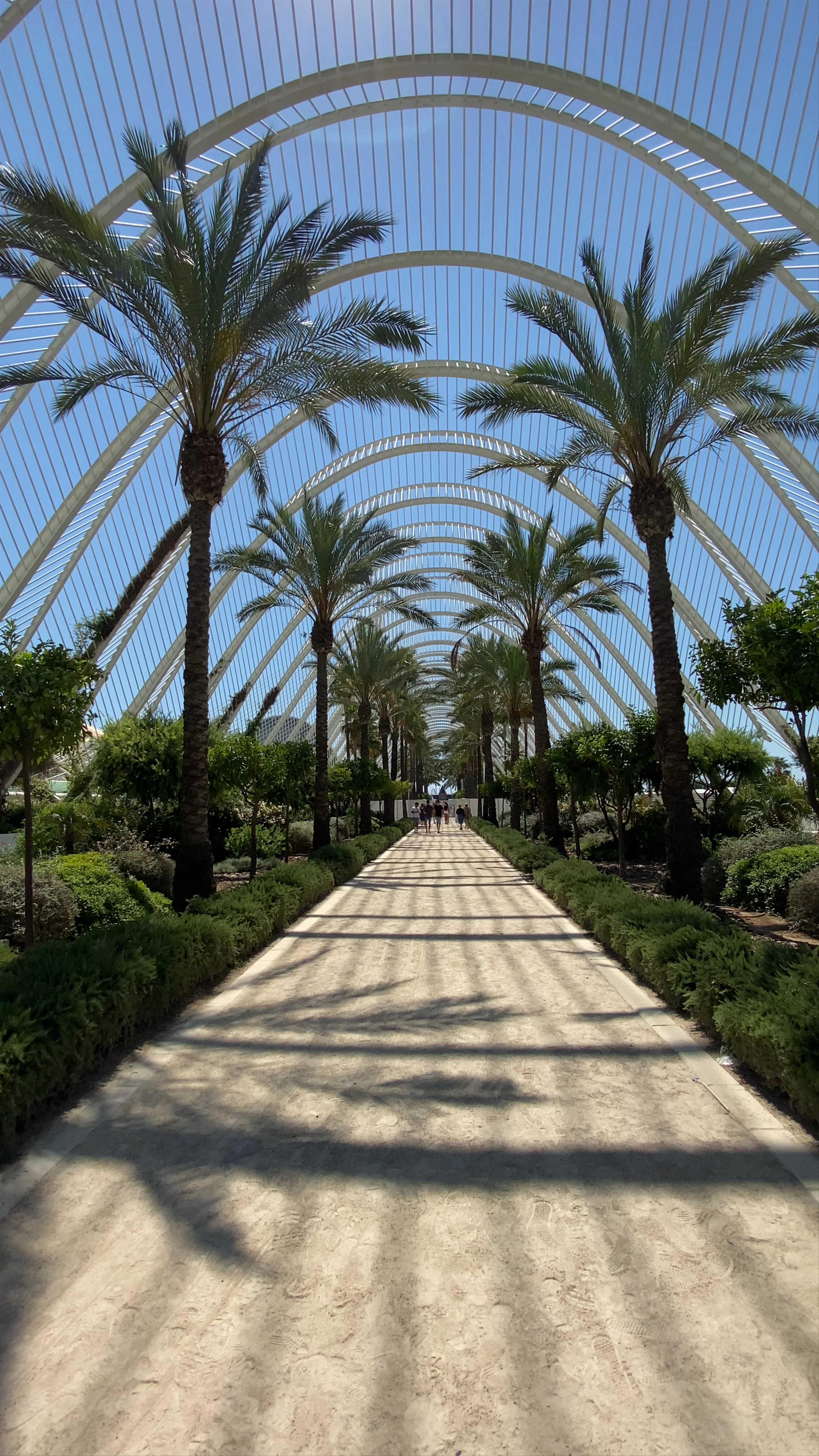 L'Umbracle Walkway: Valencia’s Architectural Oasis of Palm Trees and Sunlight