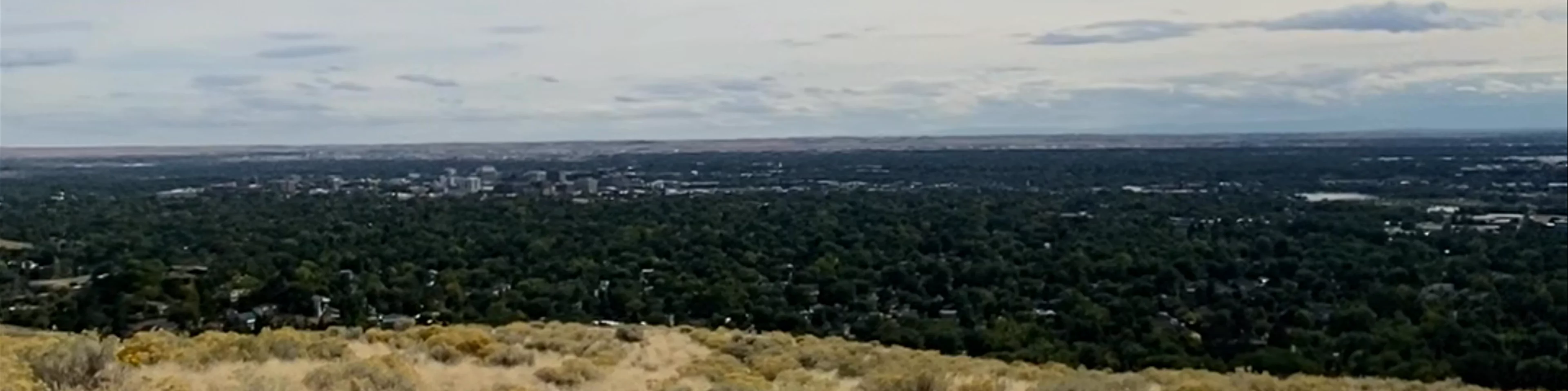 Camel's Back Park