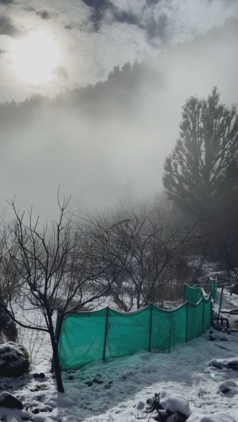 Photo of offbeat winterland n