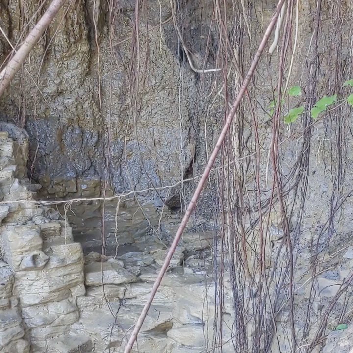 Ladonia Fossil Park - Natural spring leaking out - Parks Near Me - Ladonia, Texas