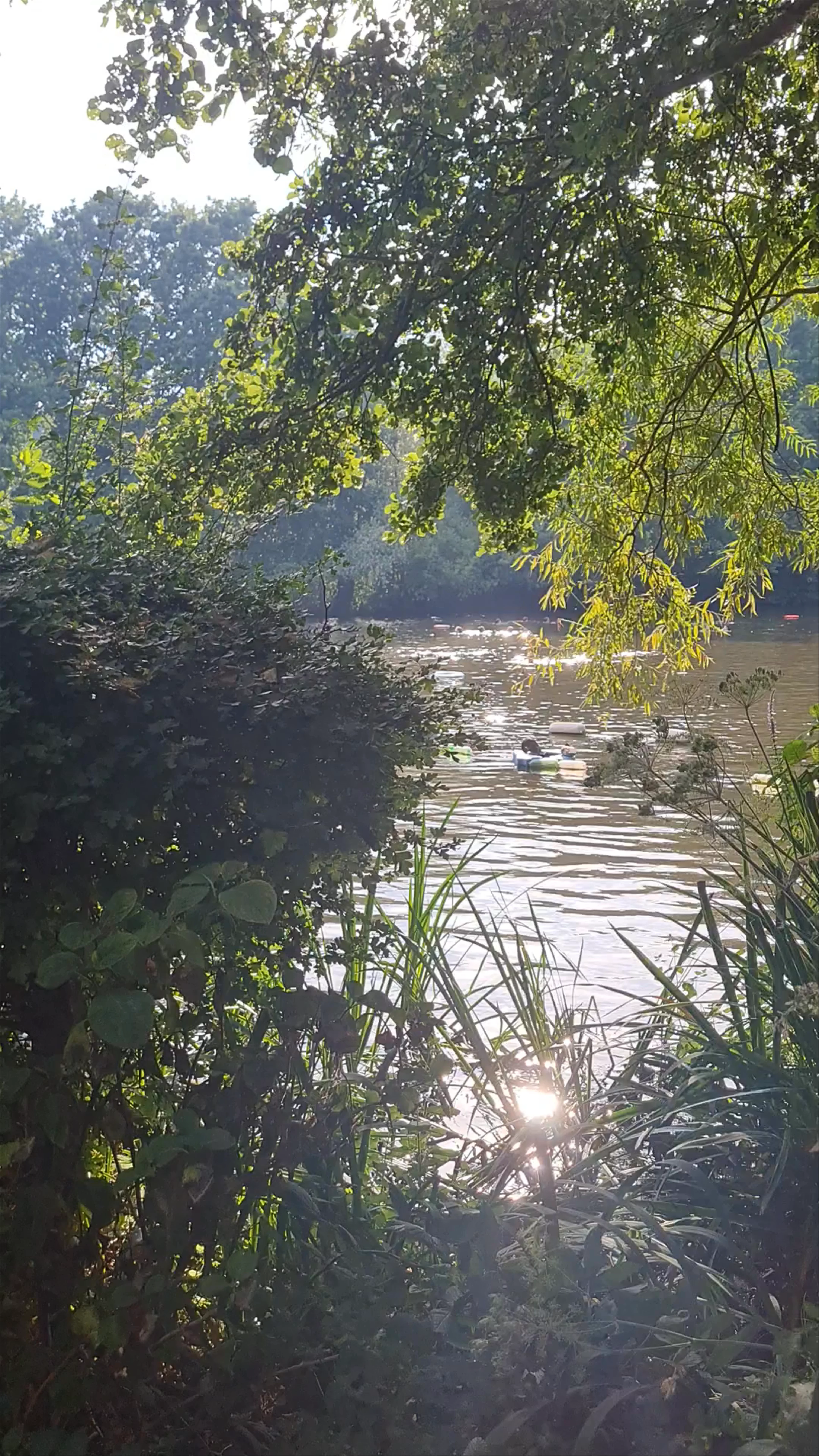 Kenwood Ladies' Bathing Pond