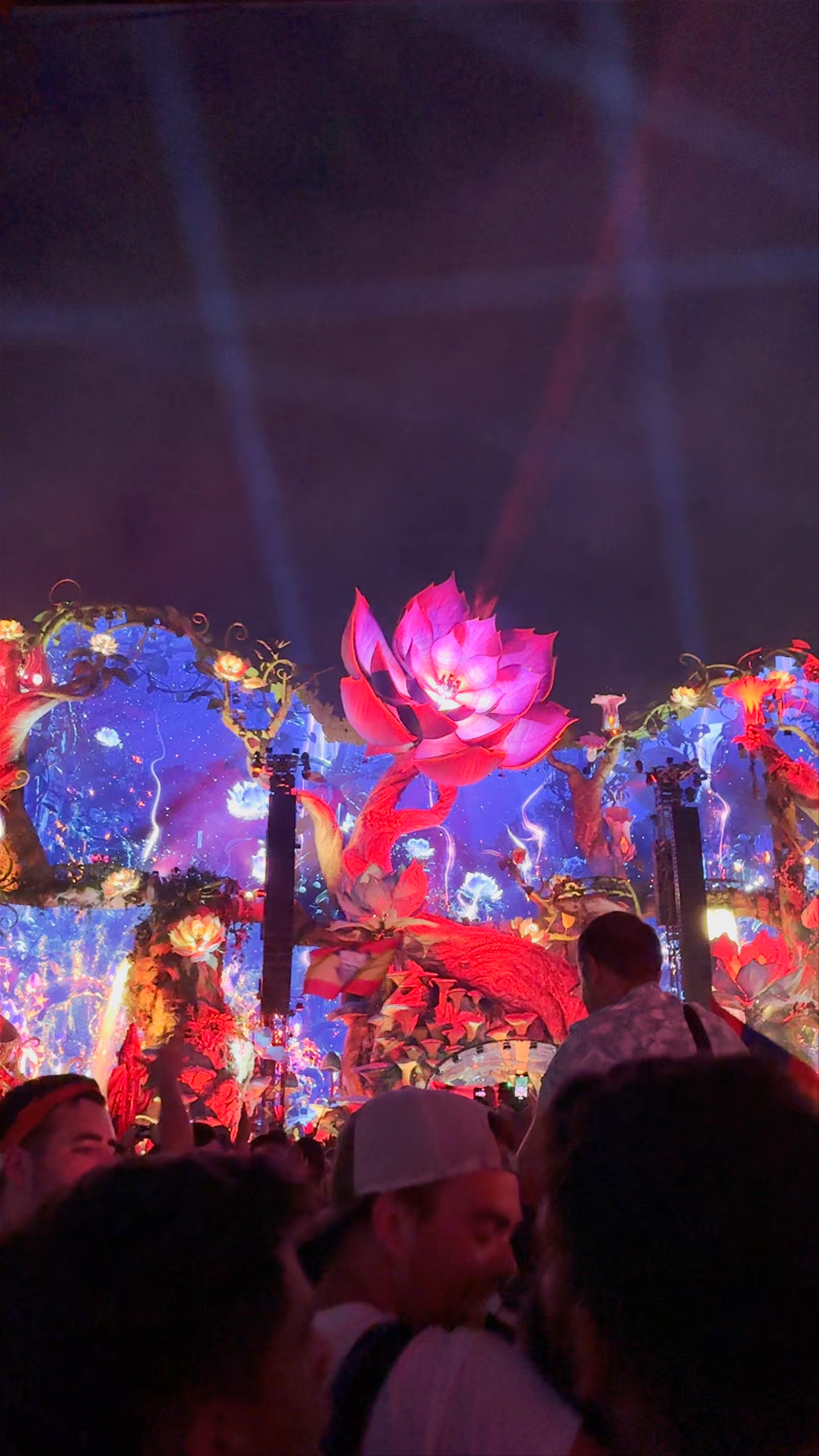 Electric Night Fantasy at Provinciaal Recreatiedomein De Schorre