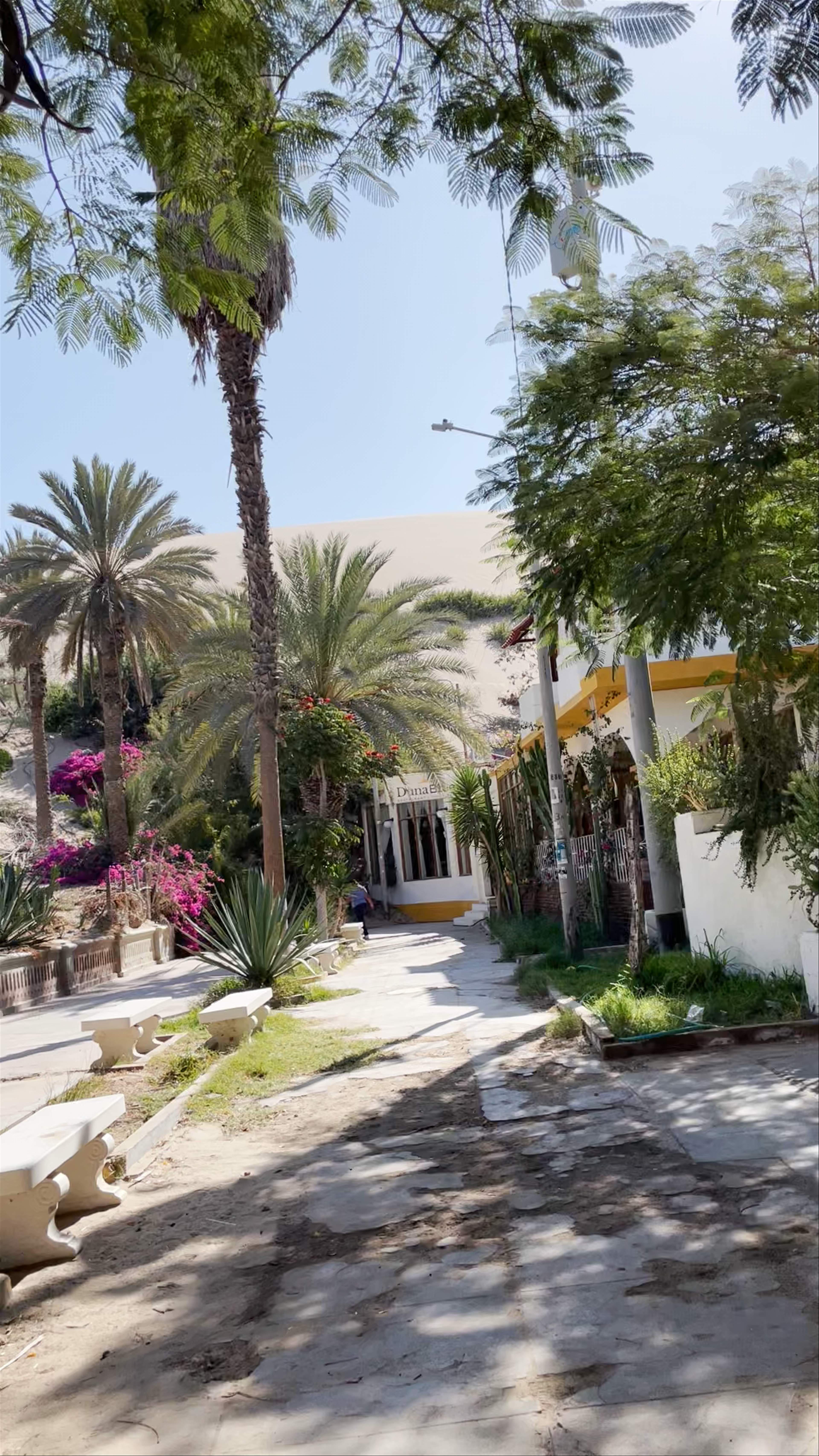 Huacachina Oasis