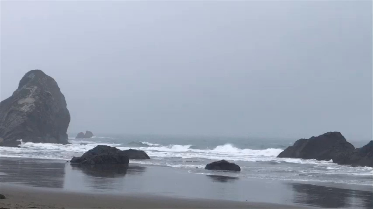 Video thumbnail 2 more videos