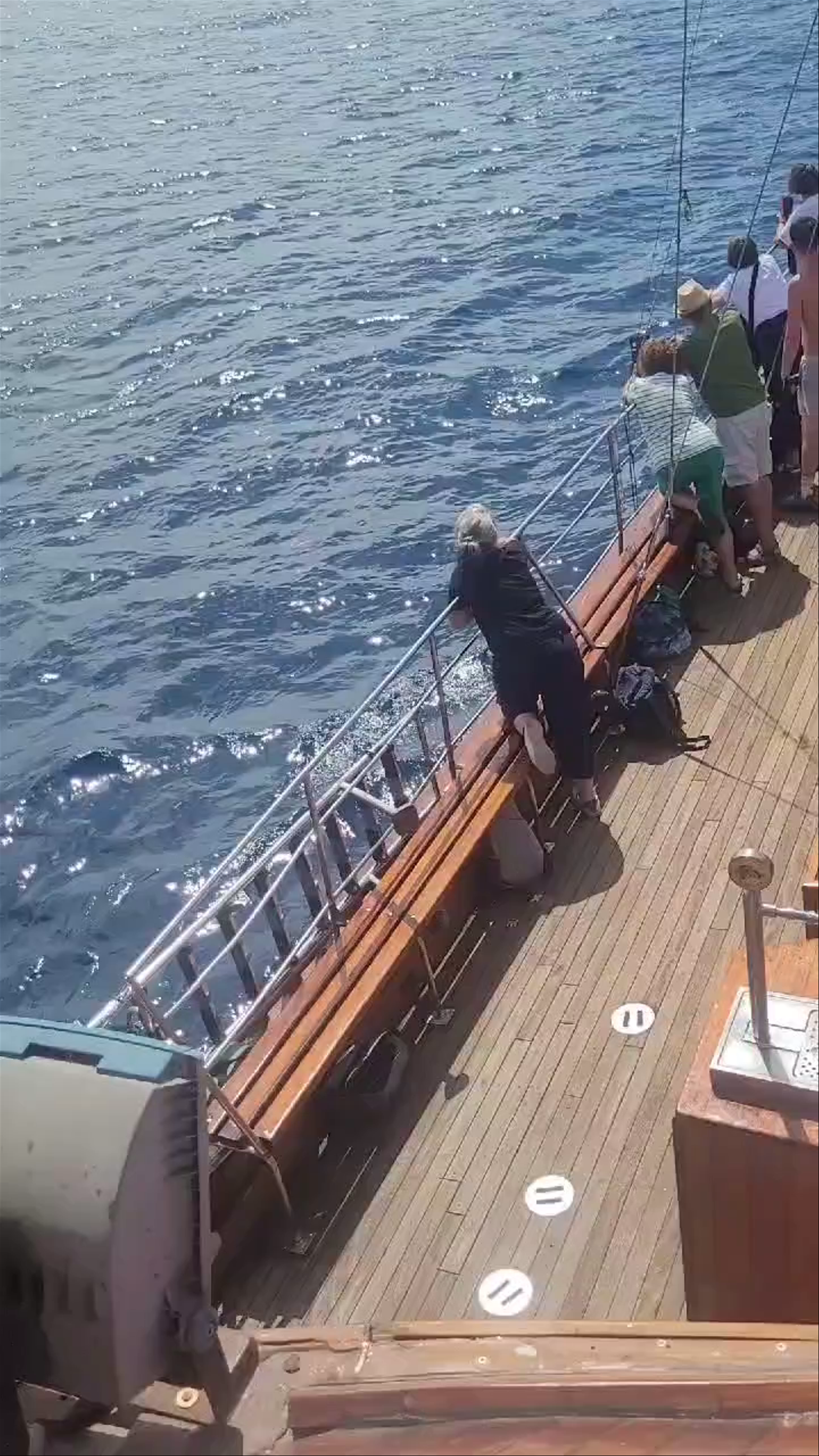 Royal Delfín Catamarán visión submarina NOSTRAMO