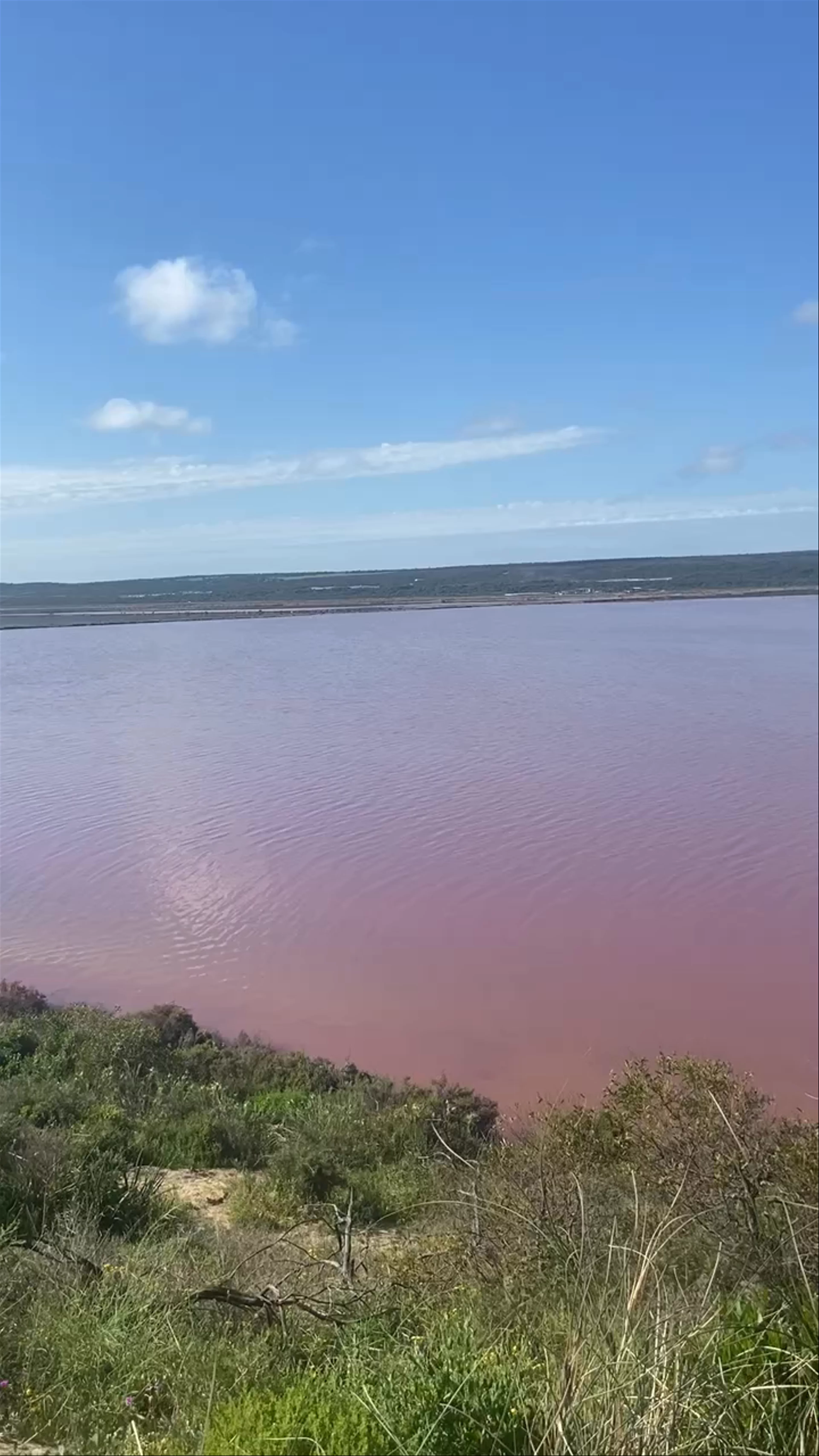 Pink Lake, WA, Australia