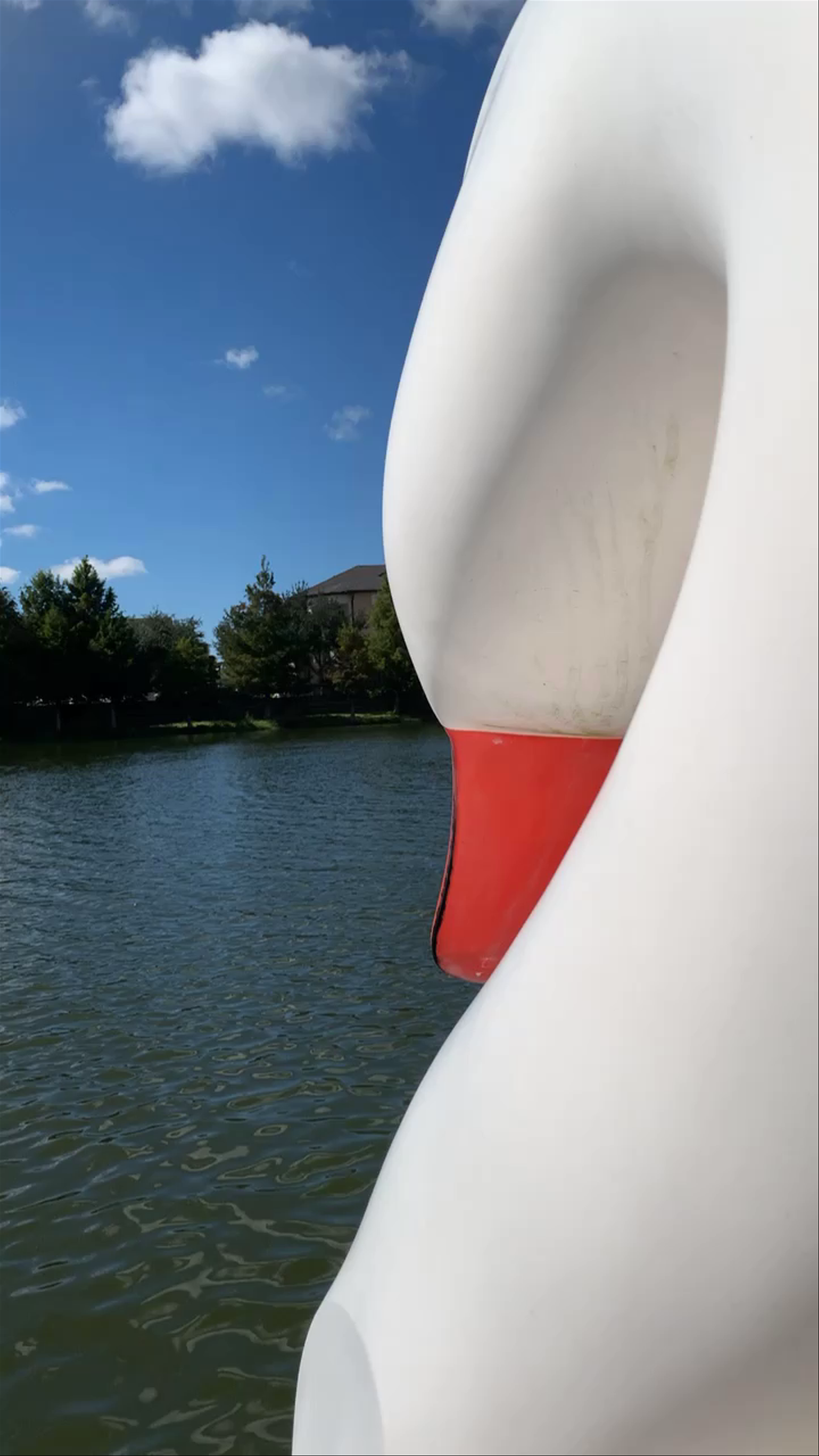 Paddle Boating and Scenic Views at Oviedo on the Park, Florida
