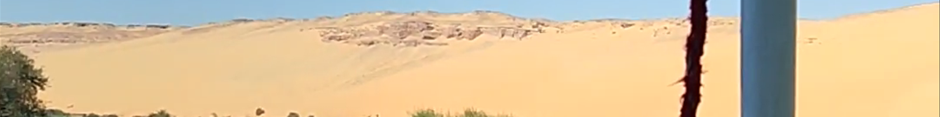 Tours & experiences in Egypt