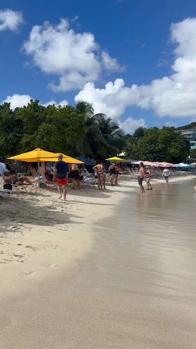 Martha's Smoothie - Juice Bars & Smoothies Near Me - East End, Virgin Islands