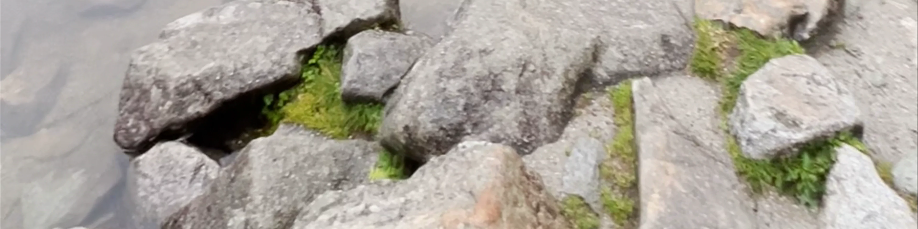 Morskie Oko