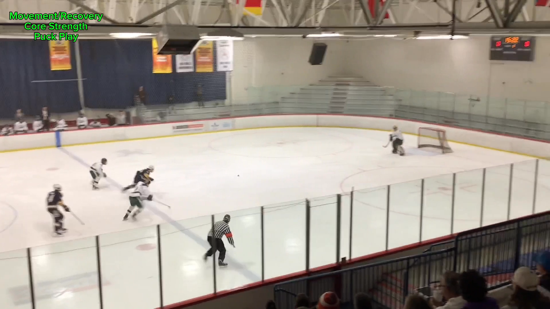 Strong Foundation | Built for Next-Level Development
(movement/recovery, puck play, core strength examples)