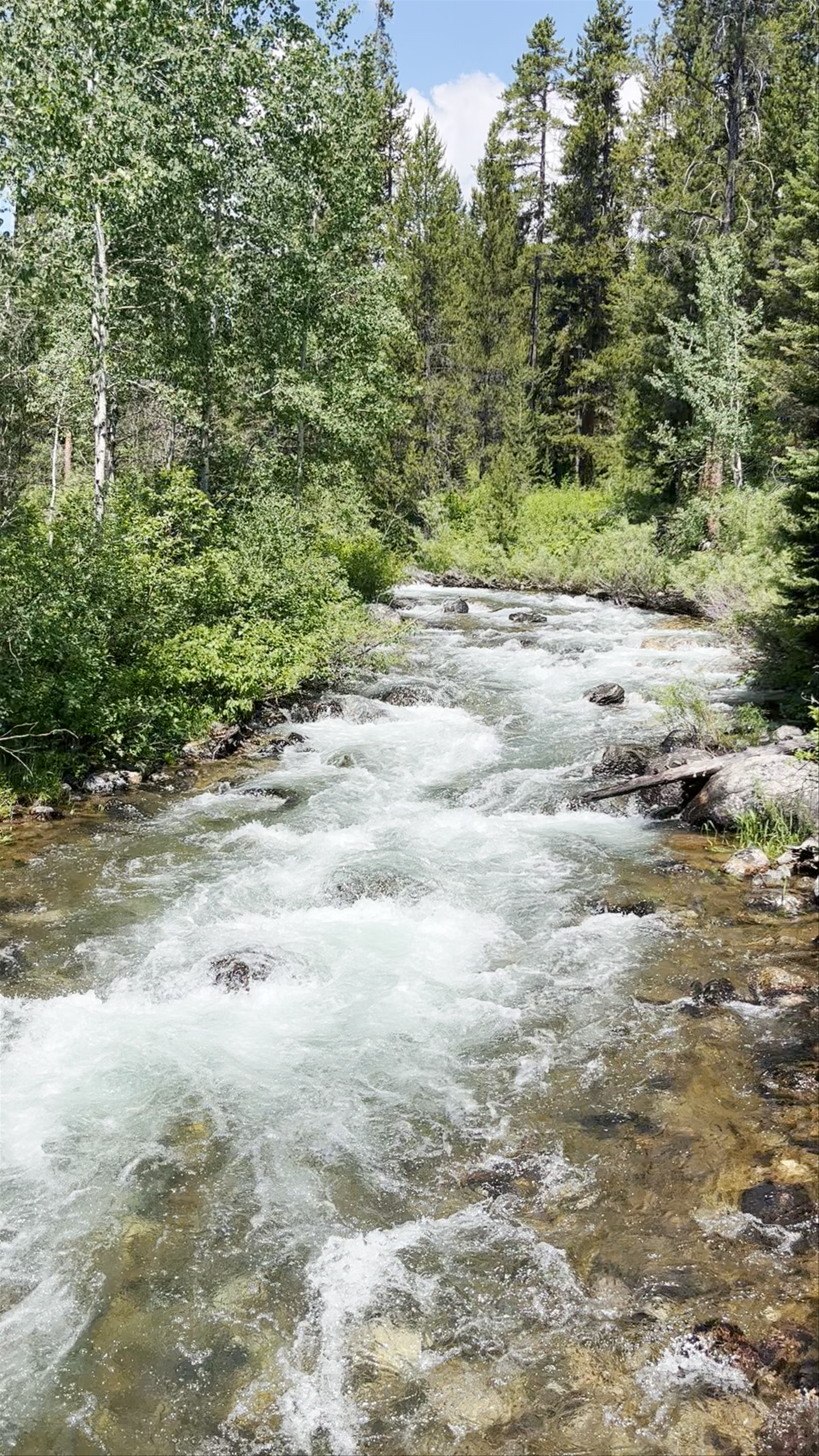 Running Stream Through Grand Teton National Park