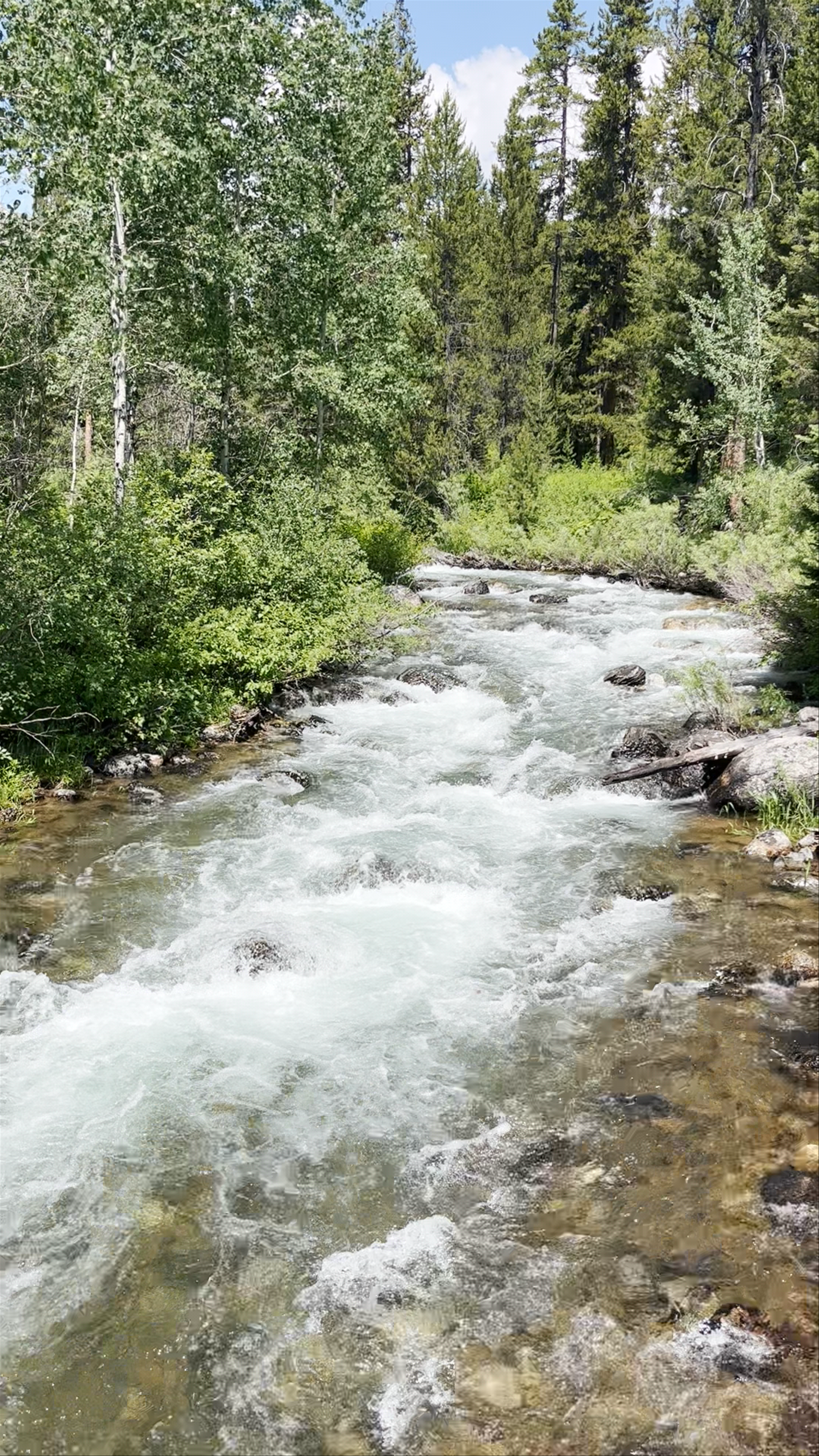 Grand Teton National Park