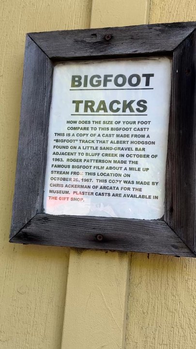 Willow Creek-China Flat Museum - 05.24.25 How does the size of my foot compare to this Bigfoot cast - Museums Near Me - Willow Creek, California