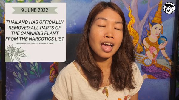 The true story of ganja and Thai liberalization explained by Prempavee