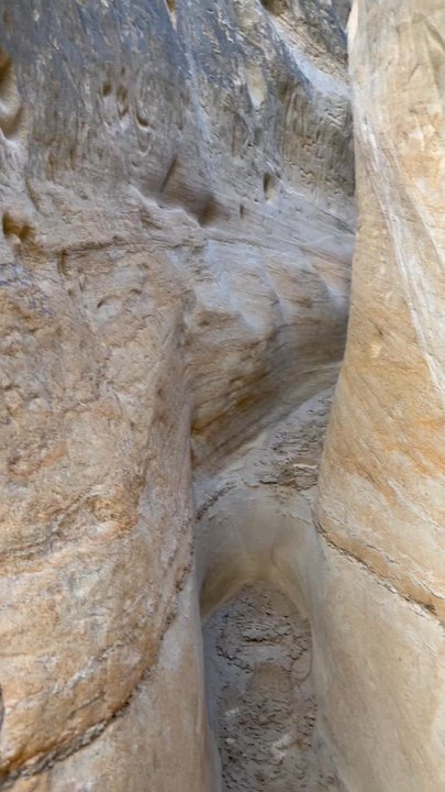 Annie's Canyon Trail - Hiking Near Me - Encinitas, California