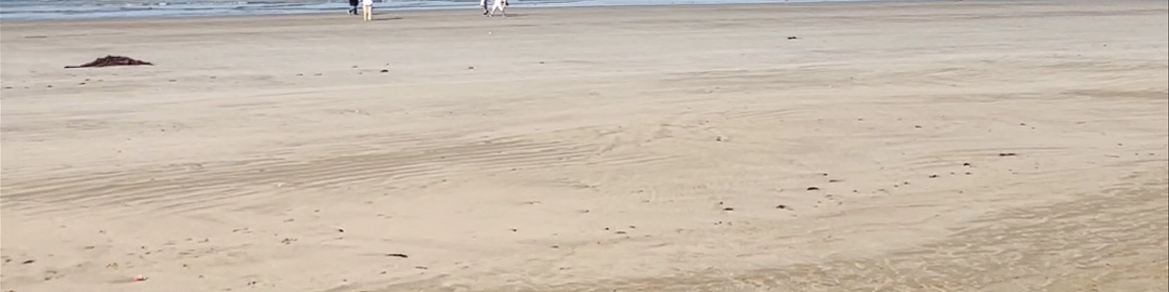 Essaouira Beach